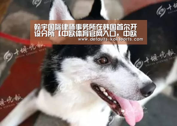 中欧体育官网入口，中欧体育官方下载，中欧体育平台
