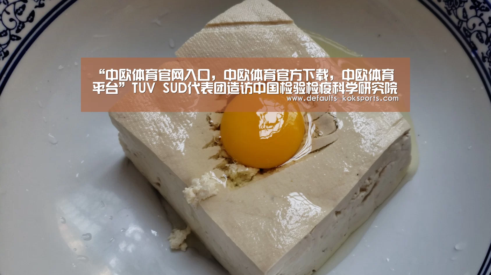 中欧体育官网入口，中欧体育官方下载，中欧体育平台