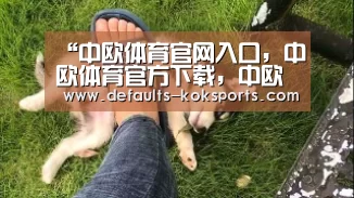 中欧体育官网入口，中欧体育官方下载，中欧体育平台